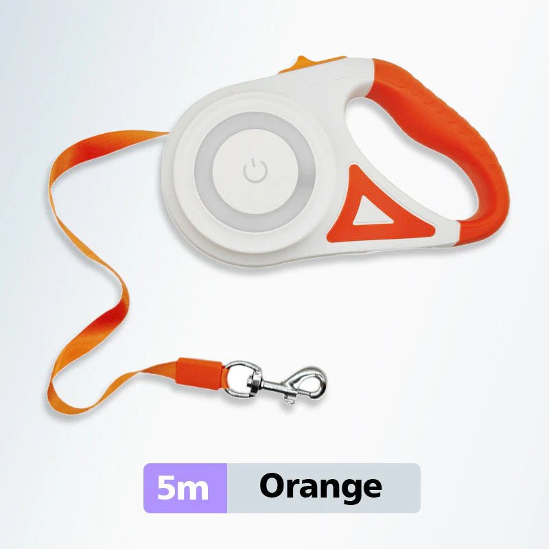 Bright - Paws Dog Leash - Prime Gift Ideas