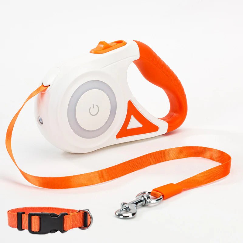 Bright - Paws Dog Leash - Prime Gift Ideas
