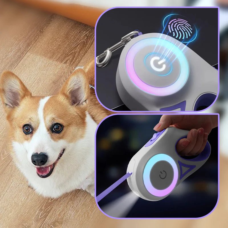 Bright - Paws Dog Leash - Prime Gift Ideas