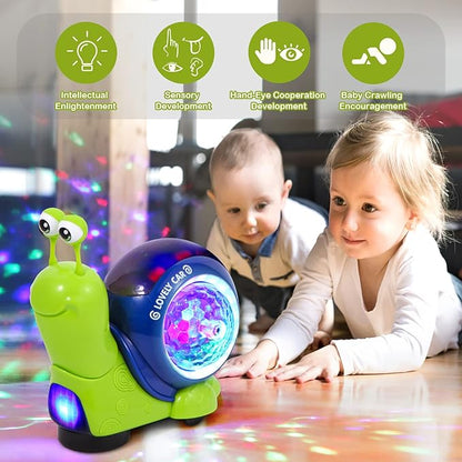 Disco - Snail - Prime Gift Ideas